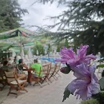 Hotel Boomerang - Sunny Sunny Beach