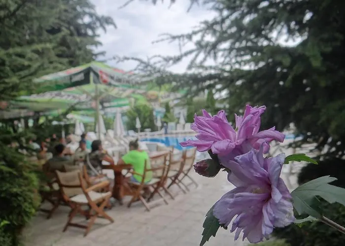 Hotel Boomerang - Sunny Sunny Beach