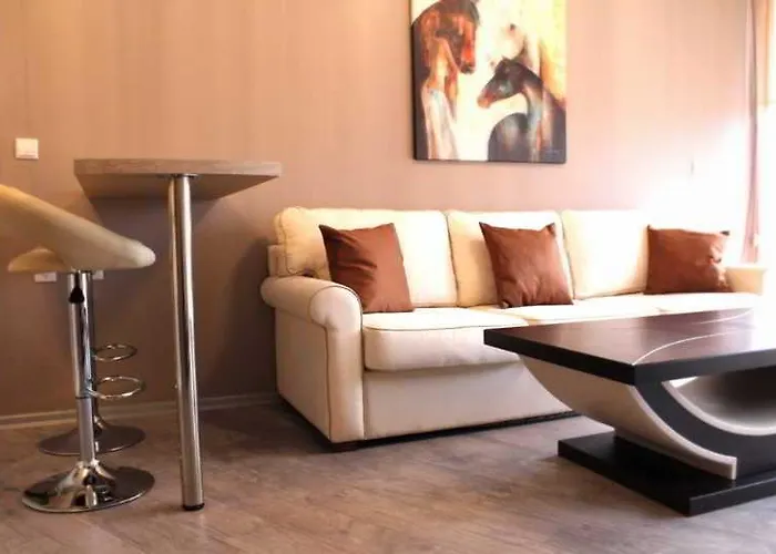 Boomerang - Sunny Sunny Beach