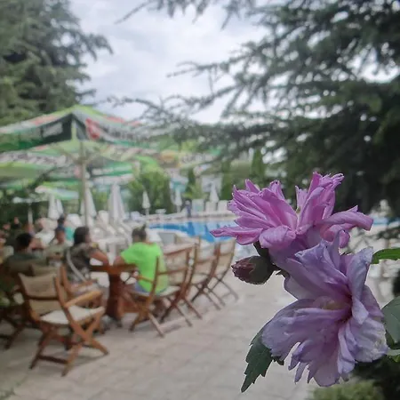 Otel Boomerang - Sunny Sunny Beach