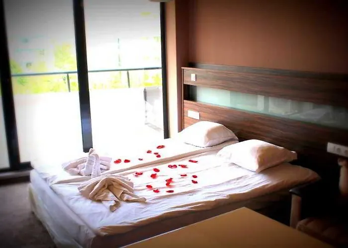 Boomerang - Sunny Отель 3*